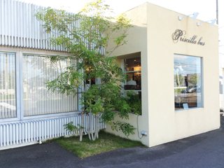 Priscilla busの写真