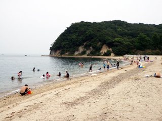 田の浦海岸の写真