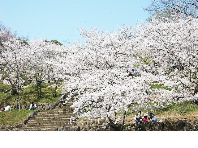 県立桃陵公園の写真