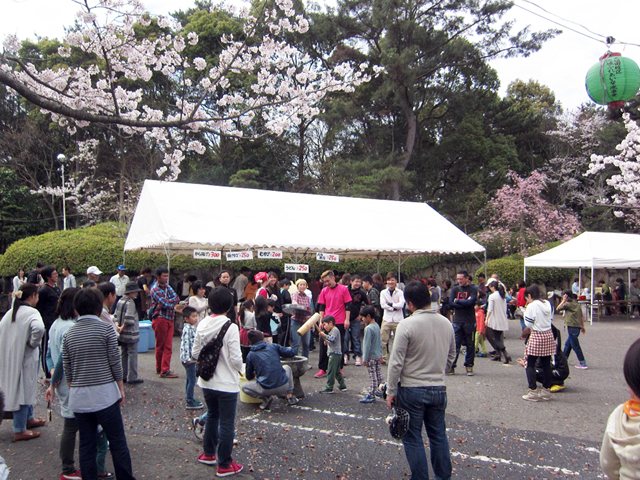 公渕森林公園 さくらまつり