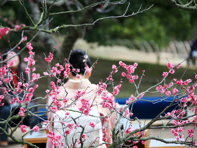 第10回 栗林公園梅まつり