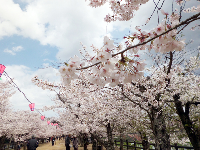 鎮花祭