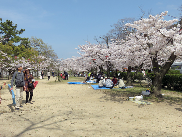 丸亀城桜まつり